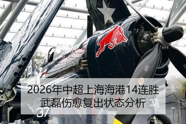 2026年中超上海海港14连胜武磊伤愈复出状态分析